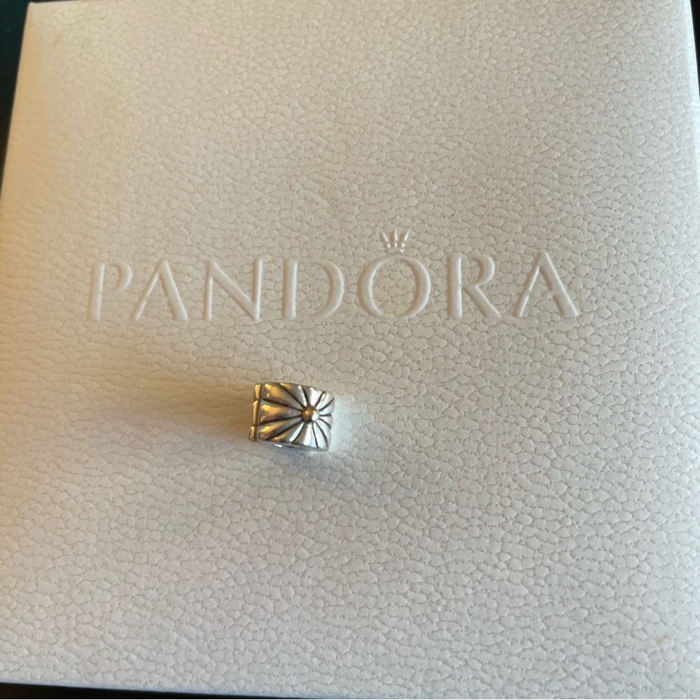 Pandora Charm